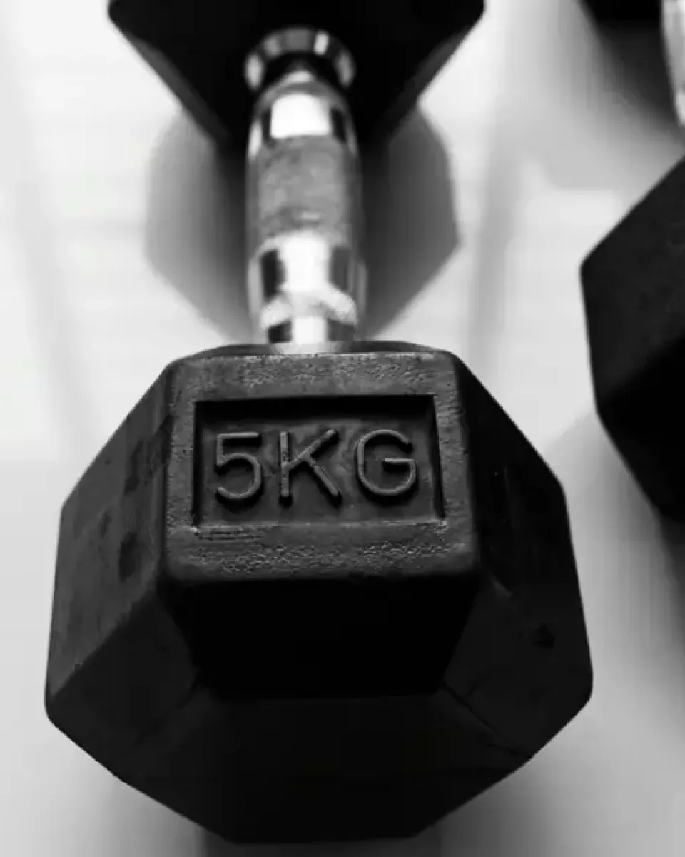 Hex Dumbbell Pair